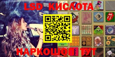 прущие крисы Бийск