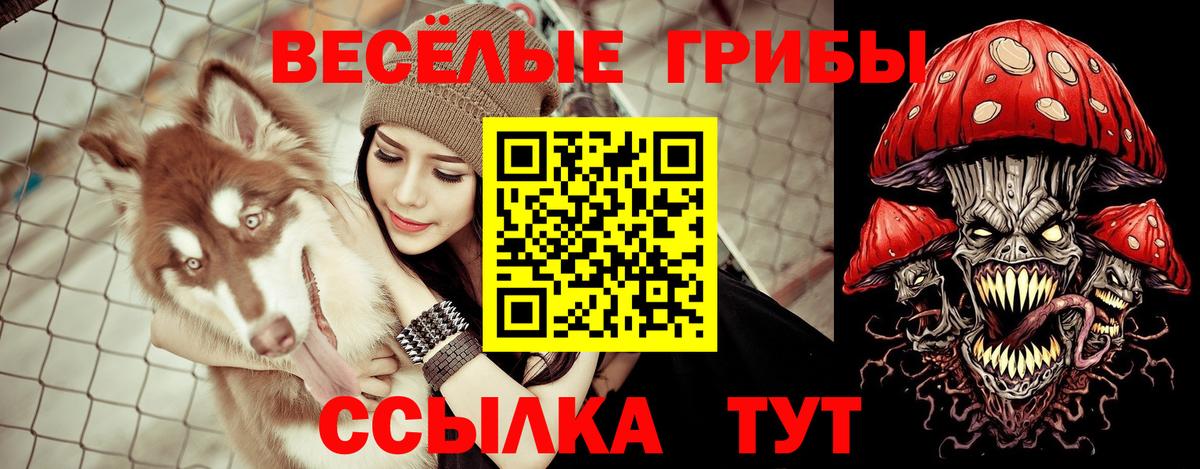 Галлюциногенные грибы ЛСД  Вход с VPN  Архангельск 